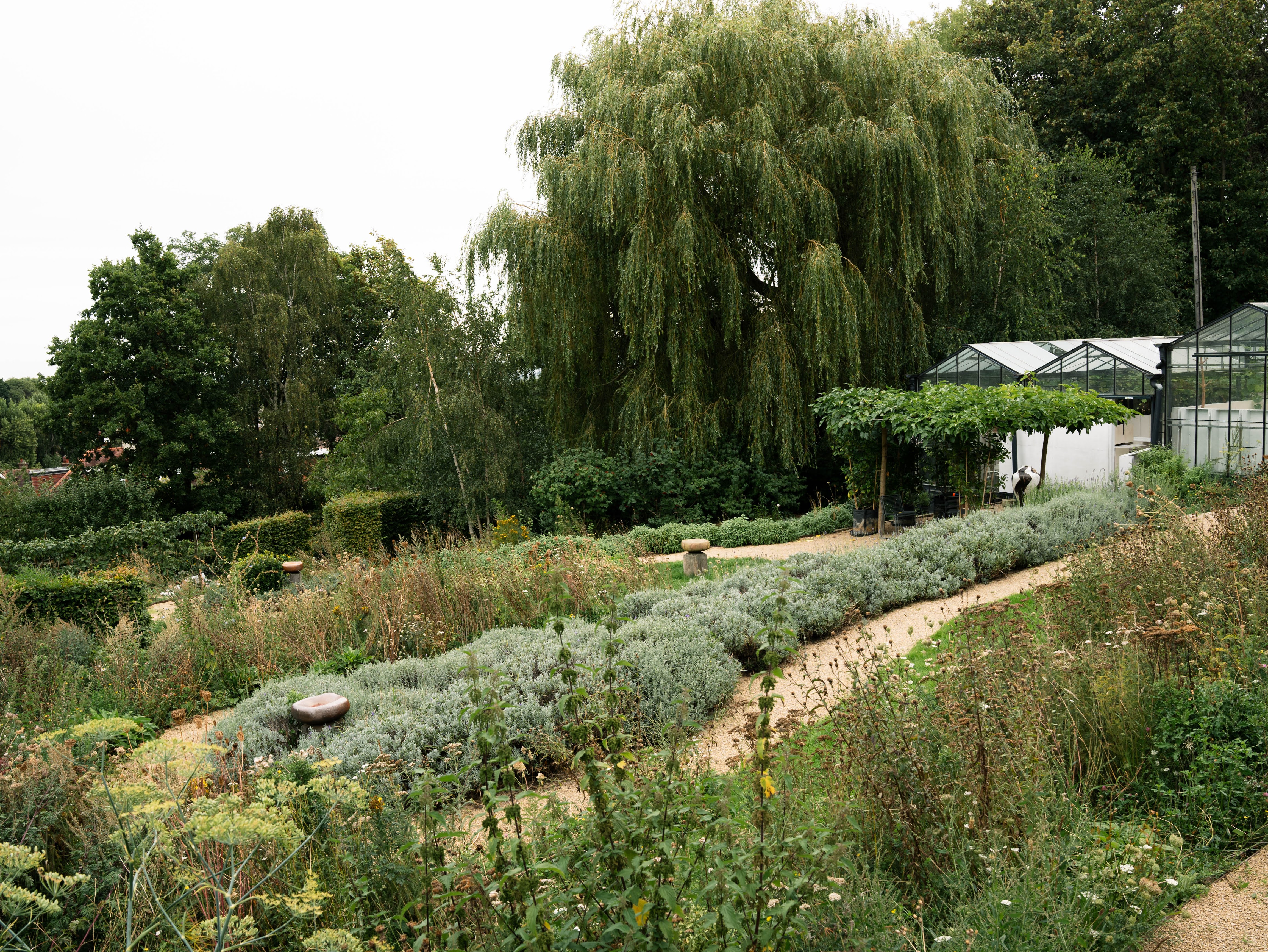 OmVed Gardens overview of green field and glasshouses
